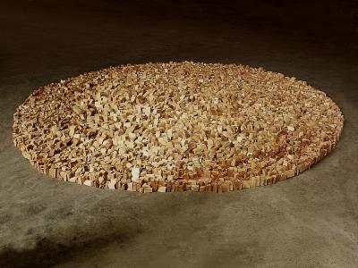 ill. 16: untitled - Various types of wood, 356 x 356 x 14 cm, de Weryha Collection, Hamburg